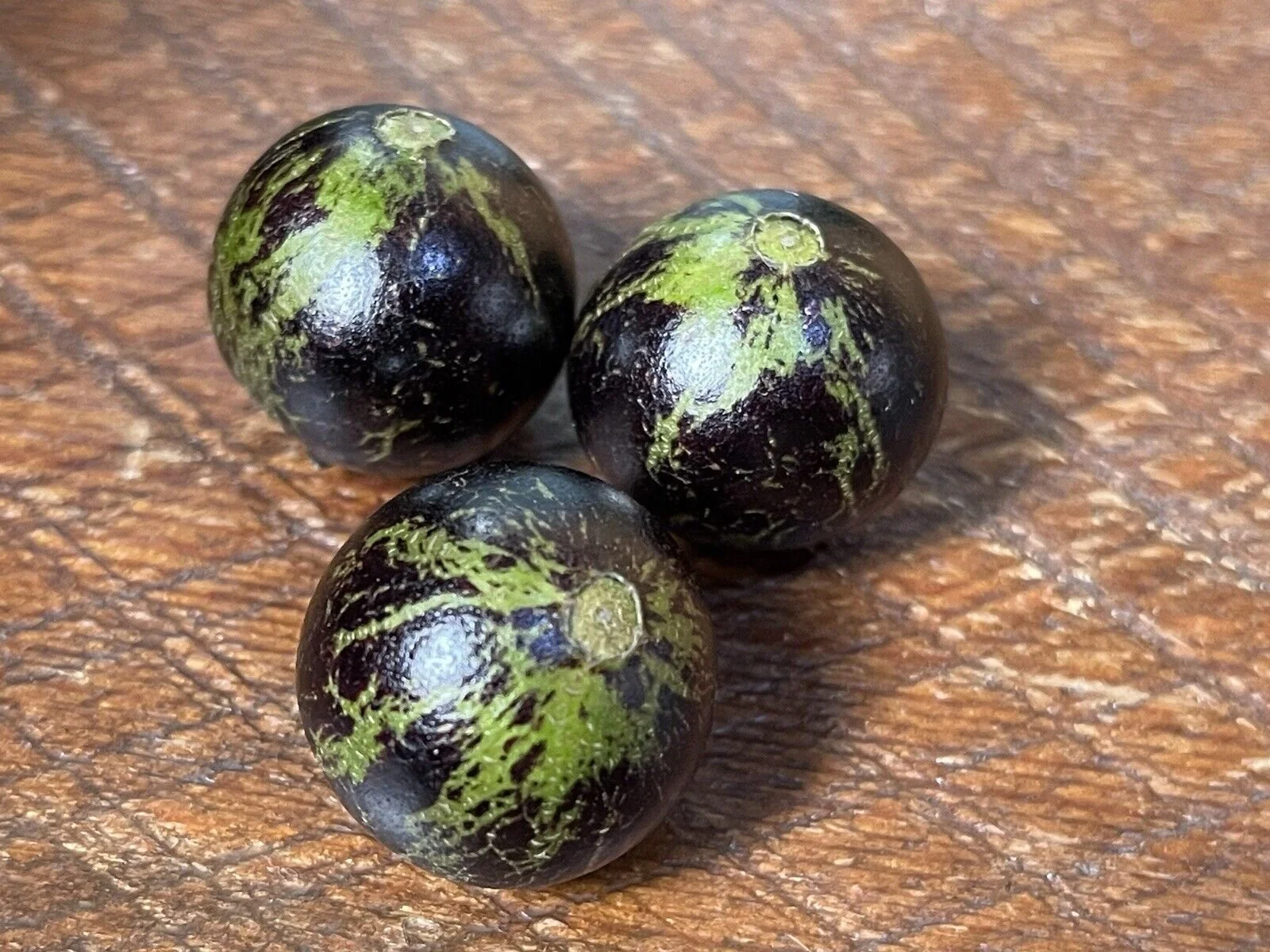 Plinia sp Rajada Honey Syrup - Jaboticaba — Bellamy Trees